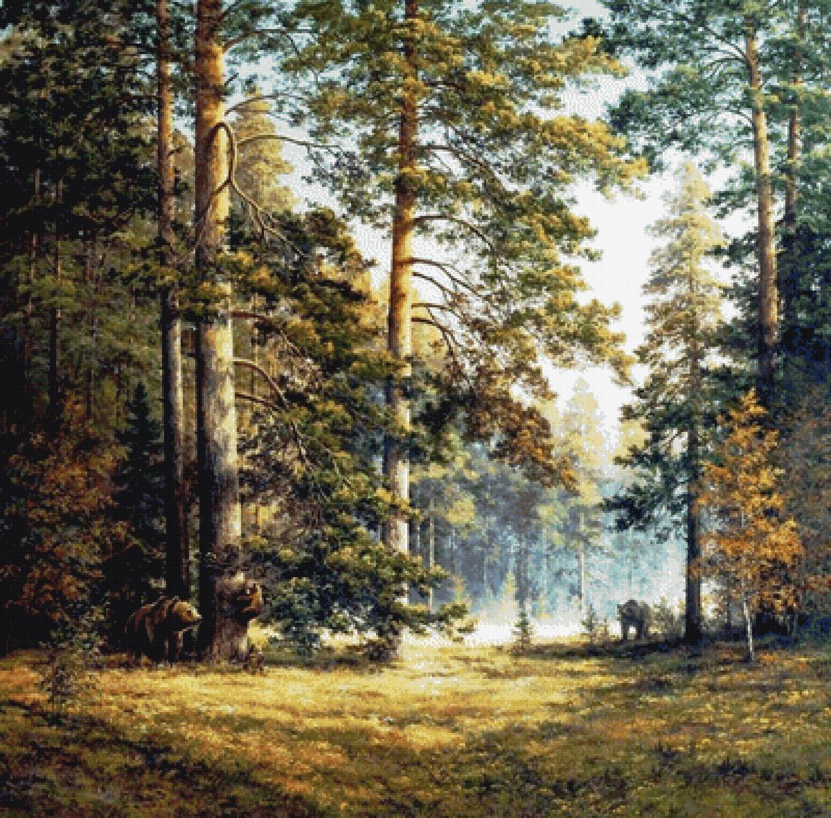 Раннее утро - сосны, медведи, пейзаж, природа, лес - предпросмотр