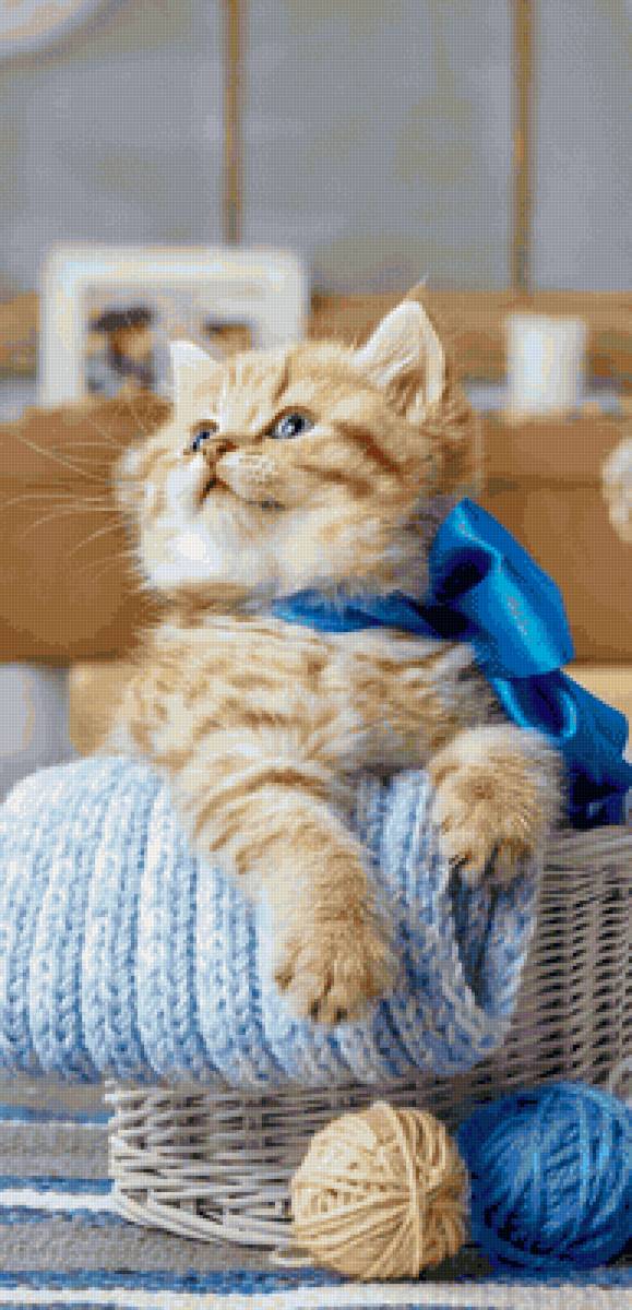 Рыжик - предпросмотр