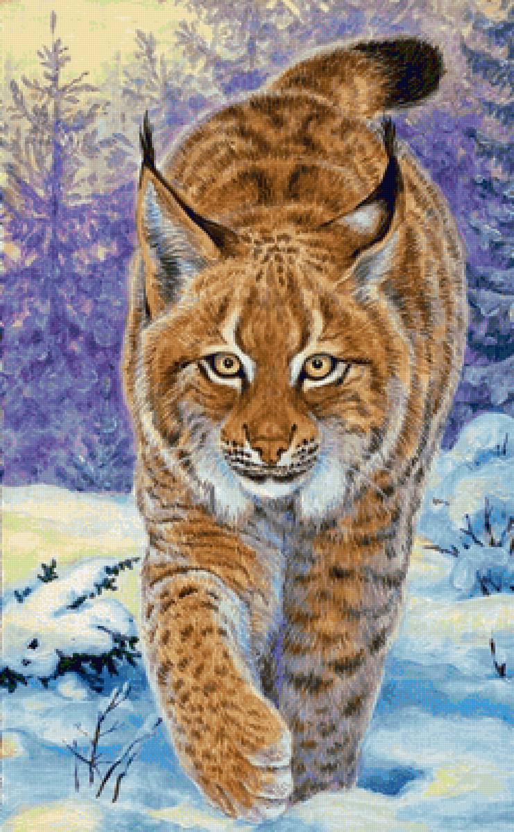 Lince. - animais, pintura. - предпросмотр