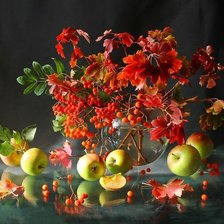 Схема вышивки «№2314948»