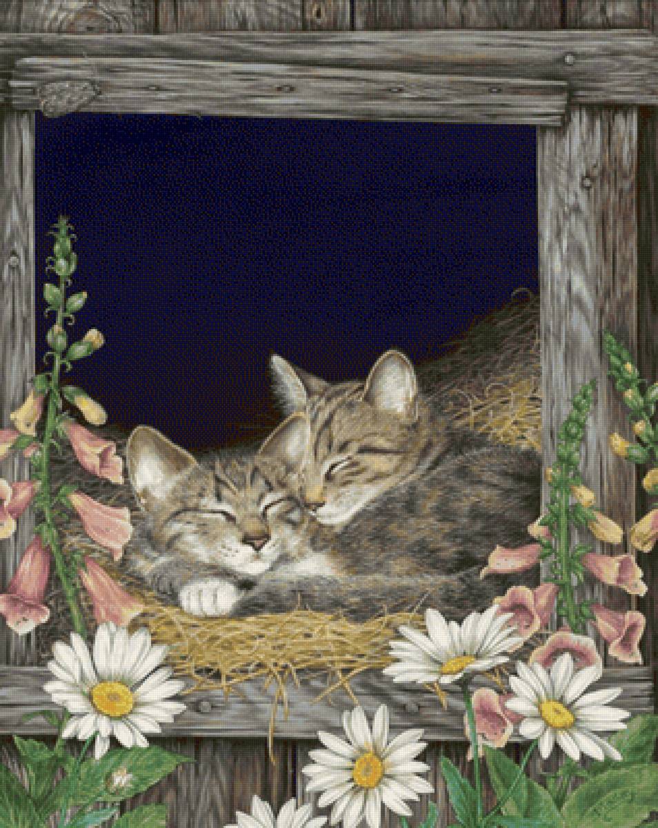 GATOS - naturaleza - предпросмотр