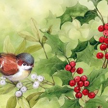 Схема вышивки «птичка»