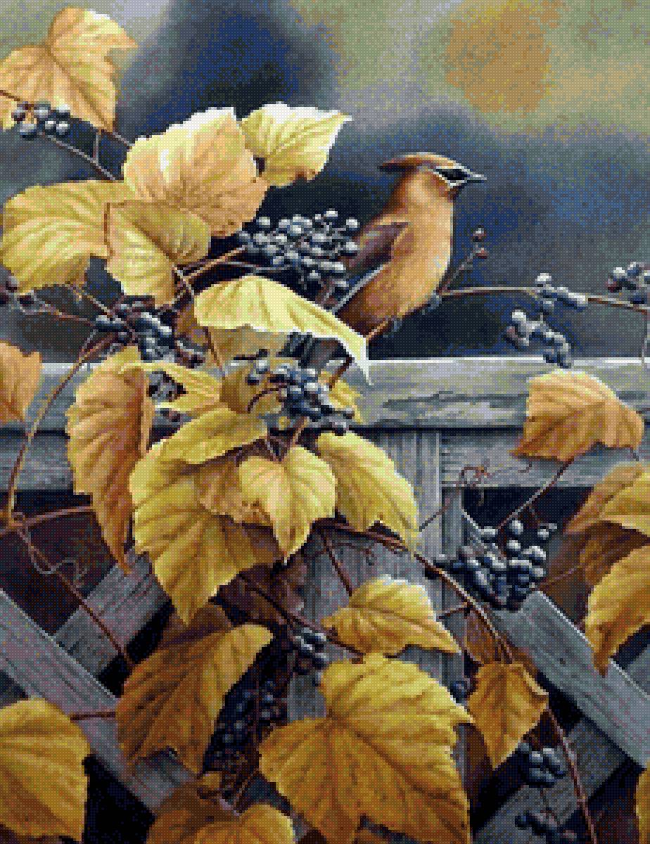 птичка - птичка - предпросмотр