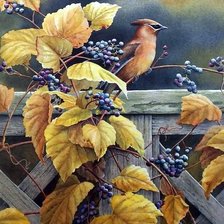 Схема вышивки «птичка»