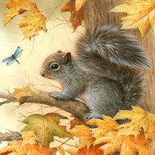 Схема вышивки «белка»