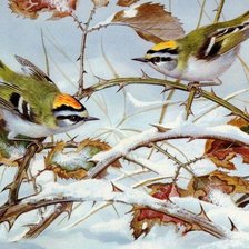 Схема вышивки «птицы»