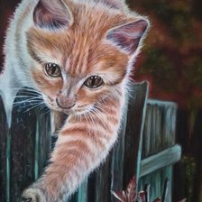 Схема вышивки «кот»