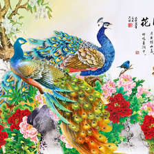 Схема вышивки «pavone e peonie»