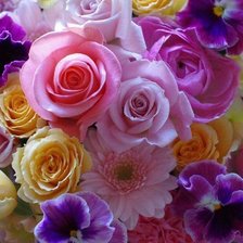 Схема вышивки «Розы и фиалки»