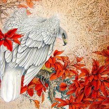 Схема вышивки «Falcão.»