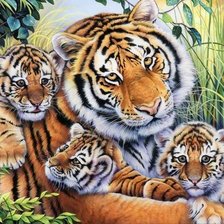 Схема вышивки «дикие»