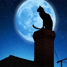 Схема вышивки «кот на крыше»