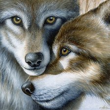 Схема вышивки «Волчья преданность»