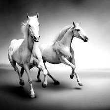 Схема вышивки «Белые лошади»