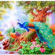 Схема вышивки «PAVONI»