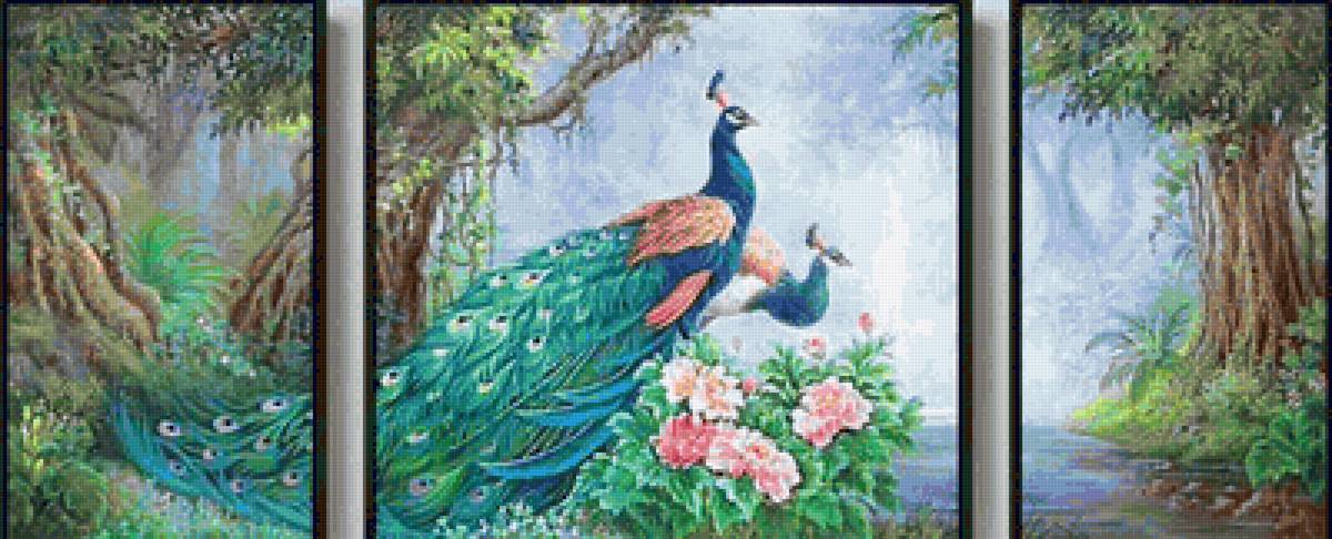 PAVONI - pavoni - предпросмотр