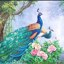 Схема вышивки «PAVONI»