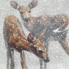 Схема вышивки «Олени»