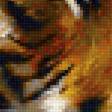 Предпросмотр схемы вышивки «Tigre.» (№2316094)