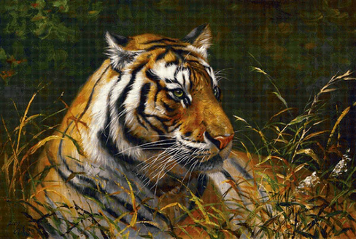 Tigre. - animais.pintura. - предпросмотр