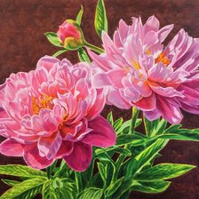 Схема вышивки «Пионы»
