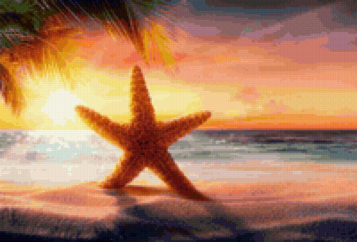 Морская звезда на пляже - пляж, море - предпросмотр