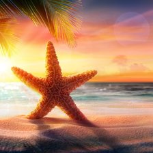 Схема вышивки «Морская звезда на пляже»