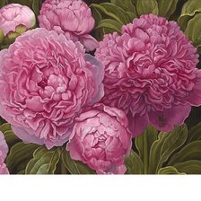 Схема вышивки «359х268»