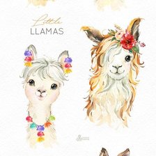 llamas varias