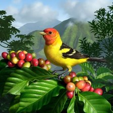 Схема вышивки «el cafetal»