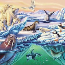 Схема вышивки «clima frio»