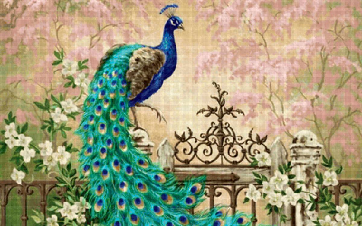 павлин - цветы, павлин - предпросмотр