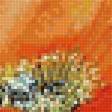 Предпросмотр схемы вышивки «Маки» (№2317154)