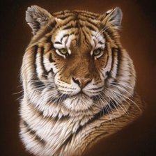 Схема вышивки «Тигр»