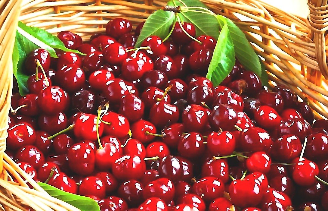 Спелая вишня - оригинал