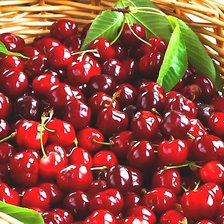 Схема вышивки «Спелая вишня»