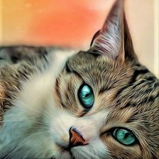 Схема вышивки «Барсик»