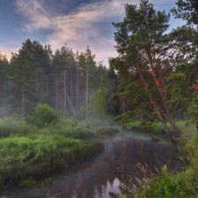 Схема вышивки «туман»