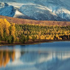 Схема вышивки «отражение»