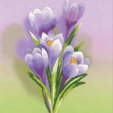 Схема вышивки «крокусы»