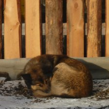 Схема вышивки «собака»