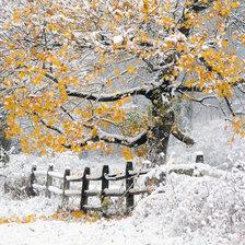 Схема вышивки «Уже не осень,еще-не зима...»