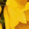 Предпросмотр схемы вышивки «Желтые тюльпаны.» (№2317780)