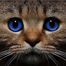 Схема вышивки «№2318100»