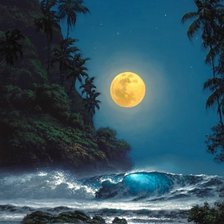 Схема вышивки «Лунная ночь»