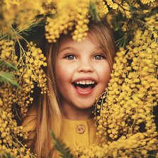 Схема вышивки «Мимоза и я.»