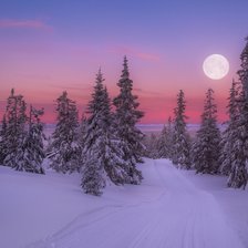 Схема вышивки «№2318777»