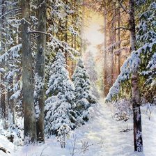 Схема вышивки «Зимний лес»