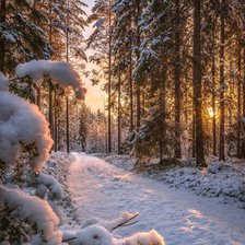 Схема вышивки «Лес»