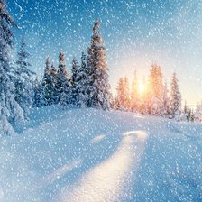 Схема вышивки «№2318857»